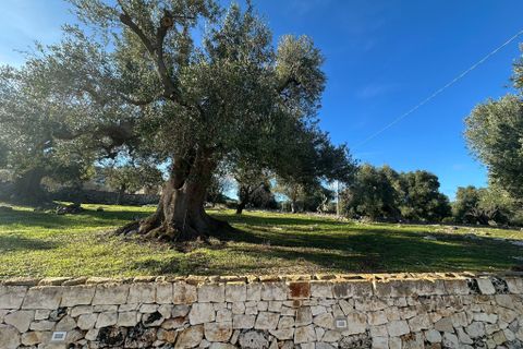 Villa i Ostuni, Brindisi, Ostuni - € 240.000 | Ref: 825 - foto 37