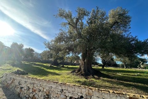 Villa i Ostuni, Brindisi, Ostuni - € 240.000 | Ref: 825 - foto 39