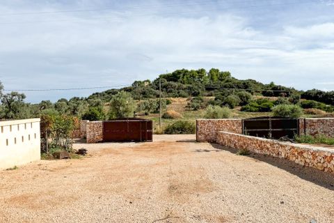 Villa i Ostuni, Brindisi, Ostuni - € 700.000 | Ref: 826 - foto 6
