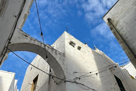 Villa i Ostuni, Brindisi, Ostuni - € 65.000 | Ref: 830 - foto 21
