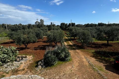 Villa i Ostuni, Brindisi, Ostuni - € 190.000 | Ref: 844 - foto 19