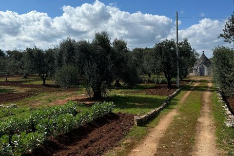 Villa i Ostuni, Brindisi, Ostuni - € 190.000 | Ref: 844 - foto 20