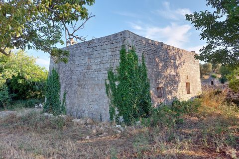 Villa a Cisternino, Brindisi, Cisternino - € 85.000 | Ref: 848 - foto 29