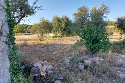 Villa a Cisternino, Brindisi, Cisternino - € 85.000 | Ref: 848 - foto 37