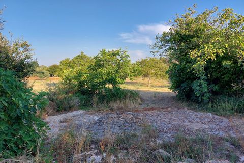 Villa a Cisternino, Brindisi, Cisternino - € 85.000 | Ref: 848 - foto 38