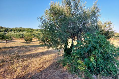 Villa a Cisternino, Brindisi, Cisternino - € 85.000 | Ref: 848 - foto 39
