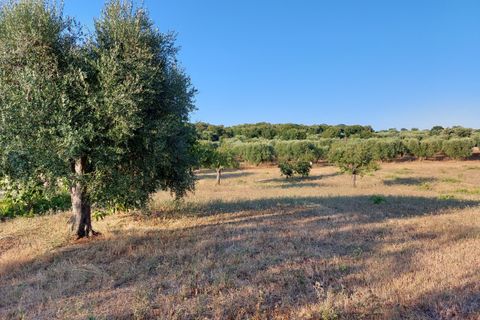 Villa a Cisternino, Brindisi, Cisternino - € 85.000 | Ref: 848 - foto 41