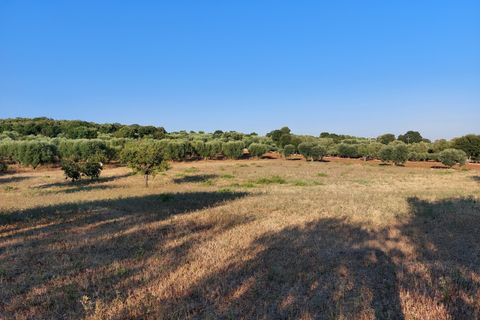 Villa a Cisternino, Brindisi, Cisternino - € 85.000 | Ref: 848 - foto 42