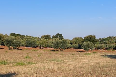 Villa a Cisternino, Brindisi, Cisternino - € 85.000 | Ref: 848 - foto 44