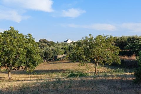 Villa a Cisternino, Brindisi, Cisternino - € 85.000 | Ref: 848 - foto 45