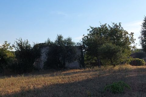 Villa a Cisternino, Brindisi, Cisternino - € 85.000 | Ref: 848 - foto 47