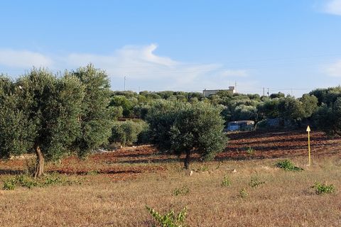 Villa a Cisternino, Brindisi, Cisternino - € 85.000 | Ref: 848 - foto 49