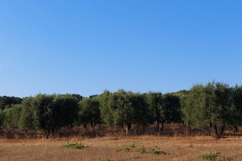Villa a Cisternino, Brindisi, Cisternino - € 85.000 | Ref: 848 - foto 50