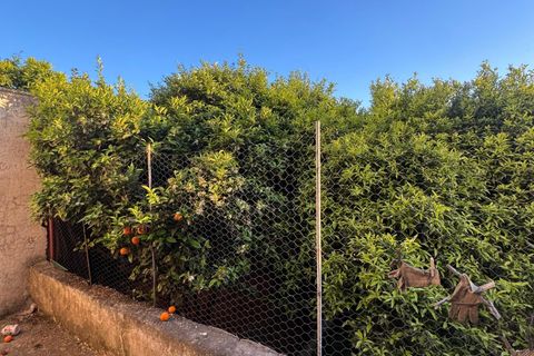 Villa i Ostuni, Brindisi, Ostuni - € 158.000 | Ref: 865 - foto 38