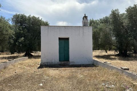 Helårsgrund i Ostuni, Brindisi, Ostuni - € 150.000 | Ref: 877 - foto 2