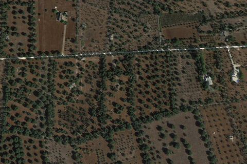 Helårsgrund i Ostuni, Brindisi, Ostuni - € 150.000 | Ref: 877 - foto 3