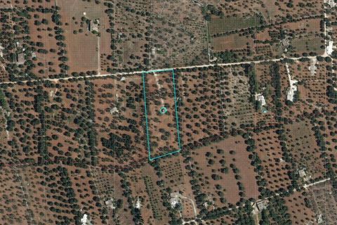 Helårsgrund i Ostuni, Brindisi, Ostuni - € 150.000 | Ref: 877 - foto 4