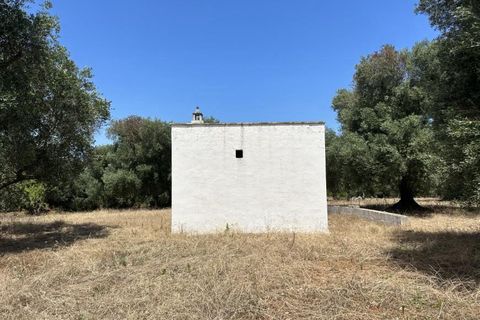 Helårsgrund i Ostuni, Brindisi, Ostuni - € 150.000 | Ref: 877 - foto 5