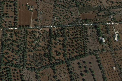 Helårsgrund i Ostuni, Brindisi, Ostuni - € 150.000 | Ref: 877 - foto 7