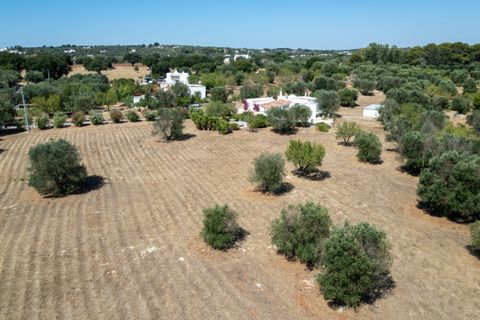 Villa i Ostuni, Brindisi, Ostuni - € 500.000 | Ref: 879 - foto 14