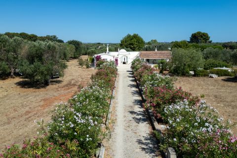 Villa i Ostuni, Brindisi, Ostuni - € 500.000 | Ref: 879 - foto 16