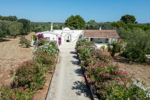 Villa i Ostuni, Brindisi, Ostuni - € 500.000 | Ref: 879 - foto 17