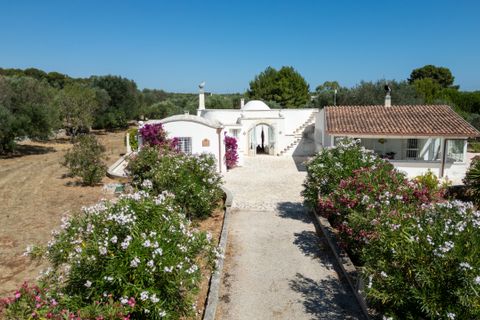 Villa i Ostuni, Brindisi, Ostuni - € 500.000 | Ref: 879 - foto 19