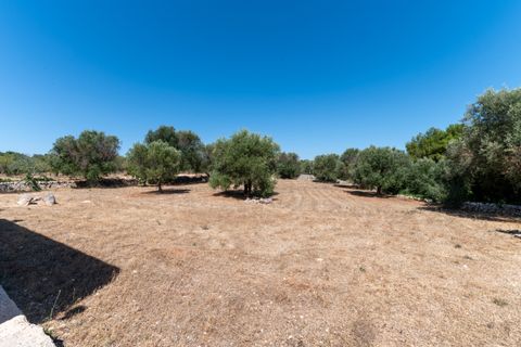 Villa i Ostuni, Brindisi, Ostuni - € 500.000 | Ref: 879 - foto 39