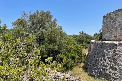 Villa i Ostuni, Brindisi, Ostuni - € 220.000 | Ref: 880 - foto 2