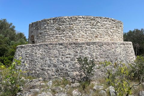 Villa i Ostuni, Brindisi, Ostuni - € 220.000 | Ref: 880 - foto 3