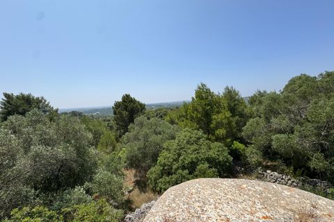 Villa i Ostuni, Brindisi, Ostuni - € 220.000 | Ref: 880 - foto 11