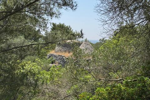 Villa i Ostuni, Brindisi, Ostuni - € 220.000 | Ref: 880 - foto 13
