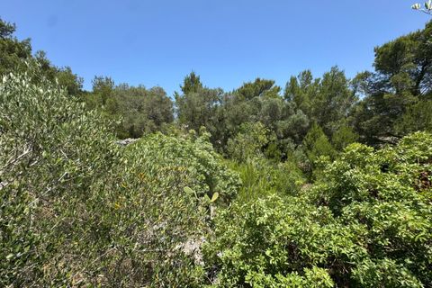 Villa i Ostuni, Brindisi, Ostuni - € 220.000 | Ref: 880 - foto 23