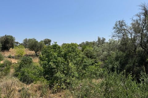 Villa i Ostuni, Brindisi, Ostuni - € 220.000 | Ref: 880 - foto 24