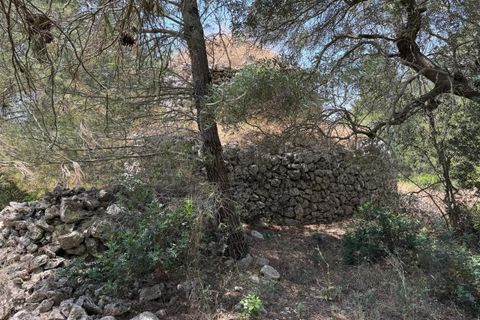 Villa i Ostuni, Brindisi, Ostuni - € 220.000 | Ref: 880 - foto 32