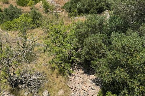 Villa i Ostuni, Brindisi, Ostuni - € 220.000 | Ref: 880 - foto 37