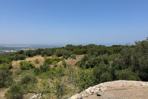 Villa i Ostuni, Brindisi, Ostuni - € 220.000 | Ref: 880 - foto 41