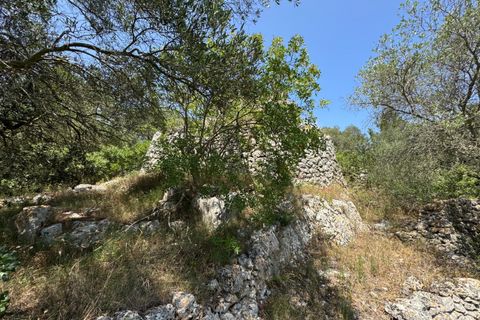 Villa i Ostuni, Brindisi, Ostuni - € 220.000 | Ref: 880 - foto 43