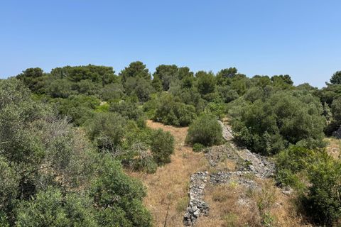 Villa i Ostuni, Brindisi, Ostuni - € 220.000 | Ref: 880 - foto 48