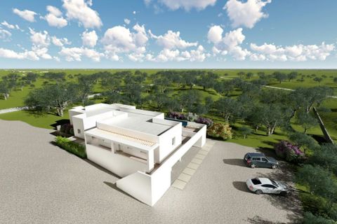 Villa i Carovigno, Brindisi, Carovigno - € 700.000 | Ref: 893 - foto 2