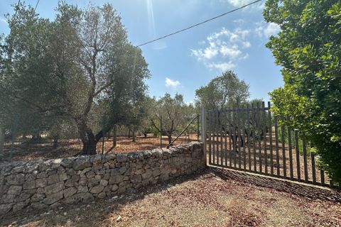 Villa i Ostuni, Brindisi, Ostuni - € 110.000 | Ref: 901 - foto 2