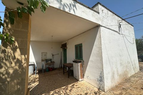 Villa i Ostuni, Brindisi, Ostuni - € 110.000 | Ref: 901 - foto 3