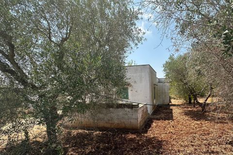 Villa i Ostuni, Brindisi, Ostuni - € 110.000 | Ref: 901 - foto 5