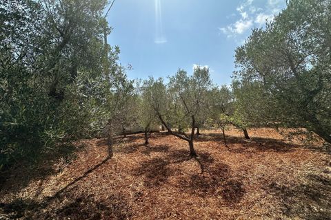 Villa i Ostuni, Brindisi, Ostuni - € 110.000 | Ref: 901 - foto 15