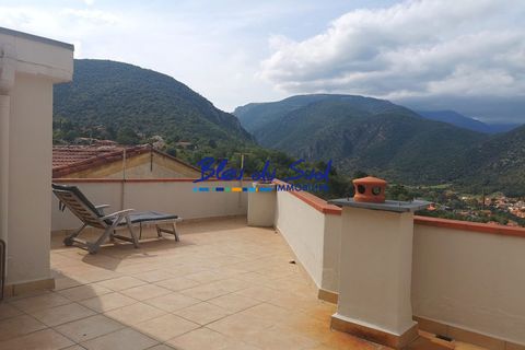 Villa i Ria-Sirach, Pyrenees-Orientales, Ria-Sirach - € 99.000 | Ref: 2592-BLEUDUSUD2 - foto 1