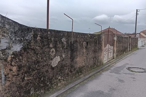 Terra a Branca, Aveiro, Branca - € 100.000 | Ref: AV26/011 - foto 4