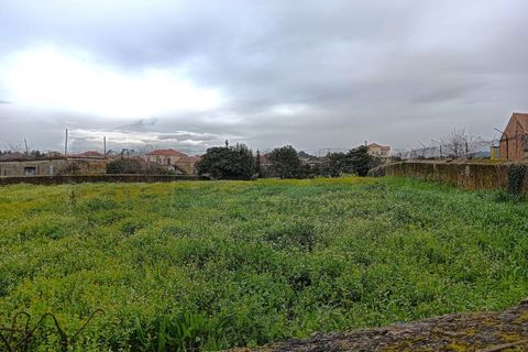 Terra a Branca, Aveiro, Branca - € 100.000 | Ref: AV26/011 - foto 6