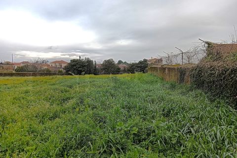 Terra a Branca, Aveiro, Branca - € 100.000 | Ref: AV26/011 - foto 8