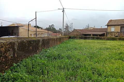 Terra a Branca, Aveiro, Branca - € 100.000 | Ref: AV26/011 - foto 9