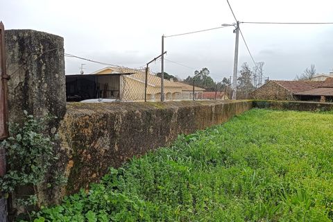 Terra a Branca, Aveiro, Branca - € 100.000 | Ref: AV26/011 - foto 10